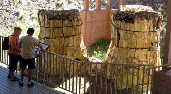 Florissant Fossil Beds National Monument