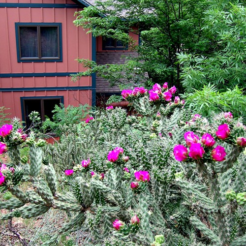 Gardens Blue Skies Inn - Bed and Breakfast in Manitou Springs, Colorado
