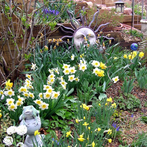 Gardens Blue Skies Inn - Bed and Breakfast in Manitou Springs, Colorado