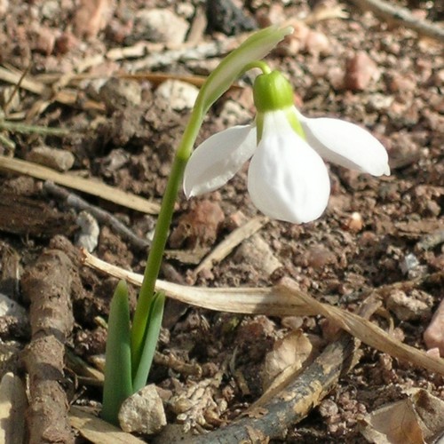Gardens Blue Skies Inn - Bed and Breakfast in Manitou Springs, Colorado