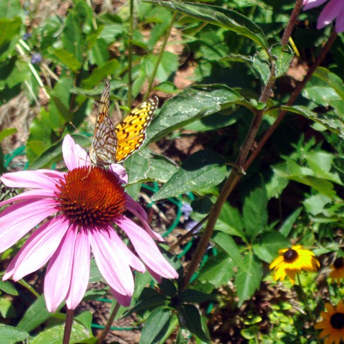 Gardens Blue Skies Inn - Bed and Breakfast in Manitou Springs, Colorado