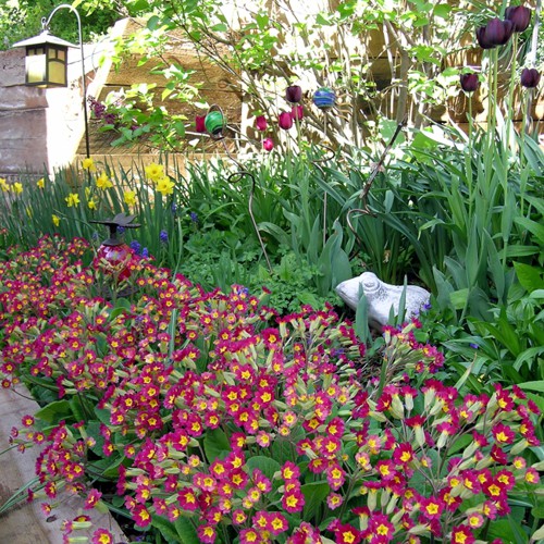 Gardens Blue Skies Inn - Bed and Breakfast in Manitou Springs, Colorado