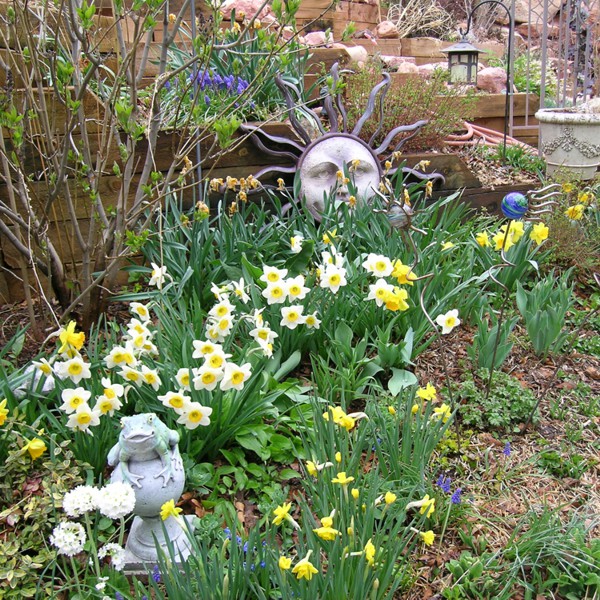 Blue Skies Inn - Hotel in Manitou Springs, Colorado